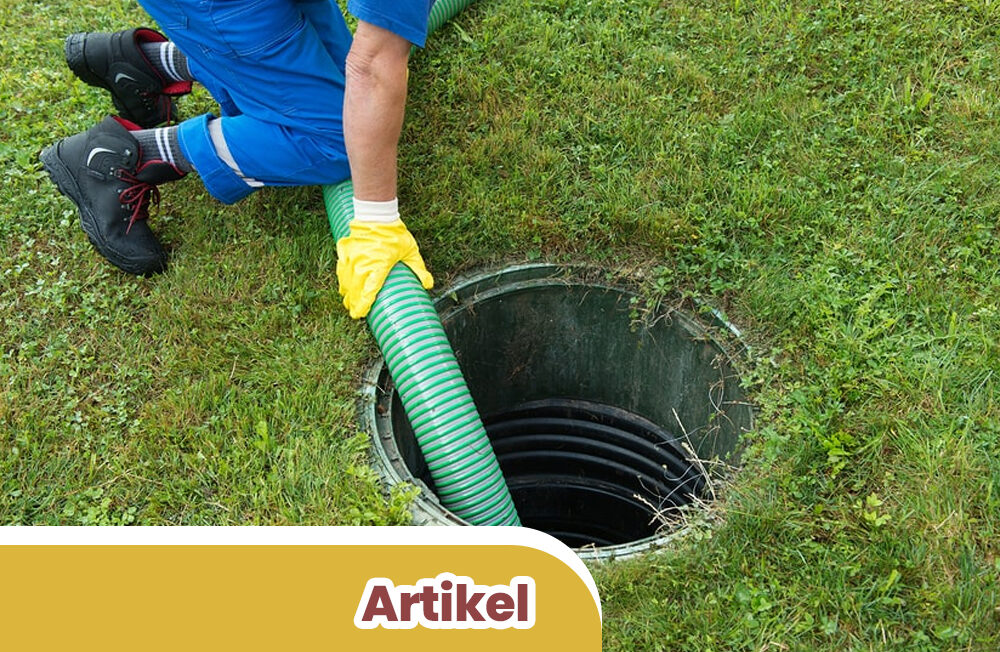 Artikel 2