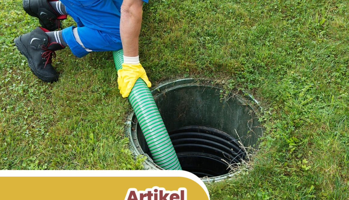 Artikel 2