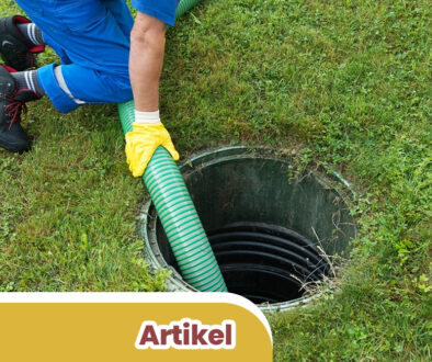 Artikel 2